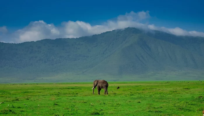 Ngorongoro Crater23