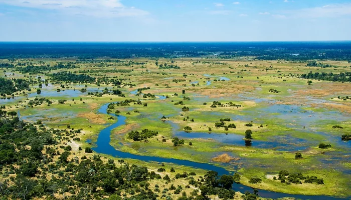 Okavango1