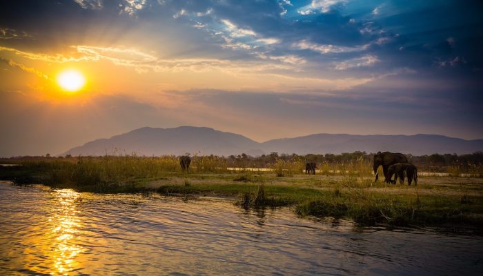 Located near Victoria Falls, this park is home to a variety of wildlife, including elephants, lions, and hippos. Take a guided tour to experience the park's stunning landscapes and diverse wildlife.