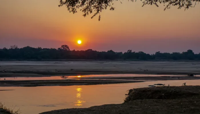 south luangwa national park1